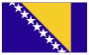 Bosnian Flag